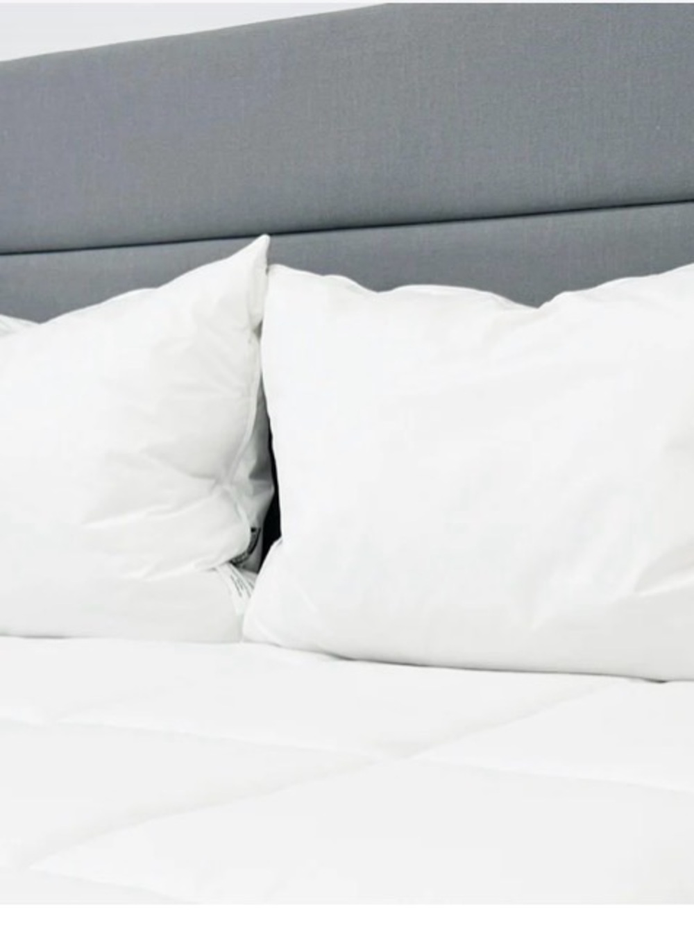 New 🆕 unopened in the bag. Pillowtex King Size Pillow purchased from Pillows.com